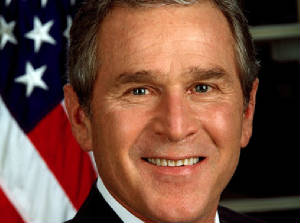 bush.jpg